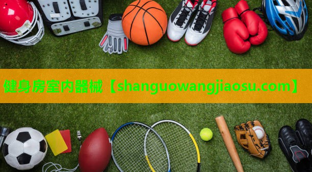 健身房室内器械