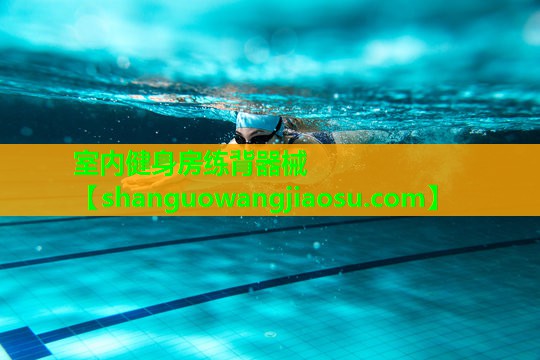 室内健身房练背器械