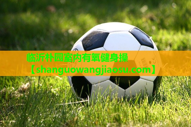 临沂朴园室内有氧健身操