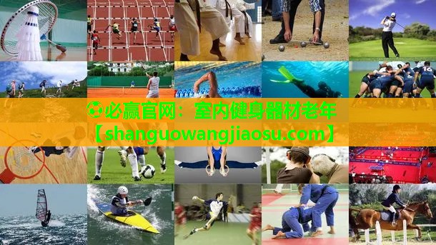 室内健身器材老年