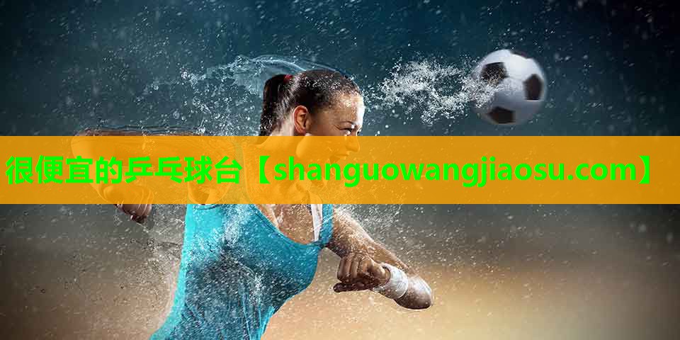 很便宜的乒乓球台