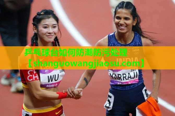 乒乓球台如何防潮防污处理