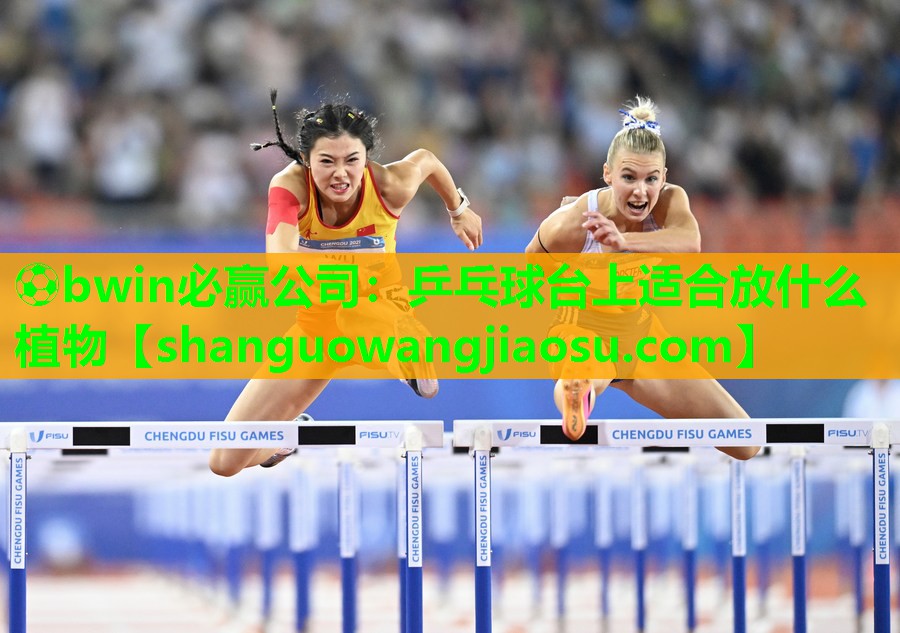 乒乓球台上适合放什么植物
