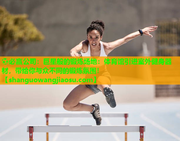 巨星般的锻炼场地：体育馆引进室外健身器材，带给你与众不同的锻炼氛围！