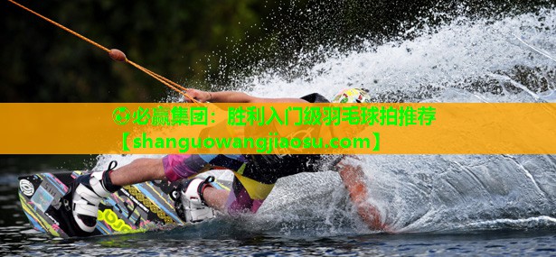 胜利入门级羽毛球拍推荐
